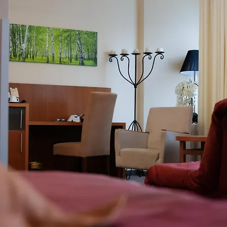 Blauer Engel Hotel Aue (Saxony)