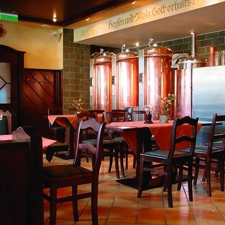 Hotel Blauer Engel Aue (Saxony)